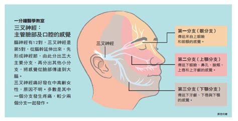 左邊臉痛|三叉神經痛 / 面部痛症 / 牙骹痛